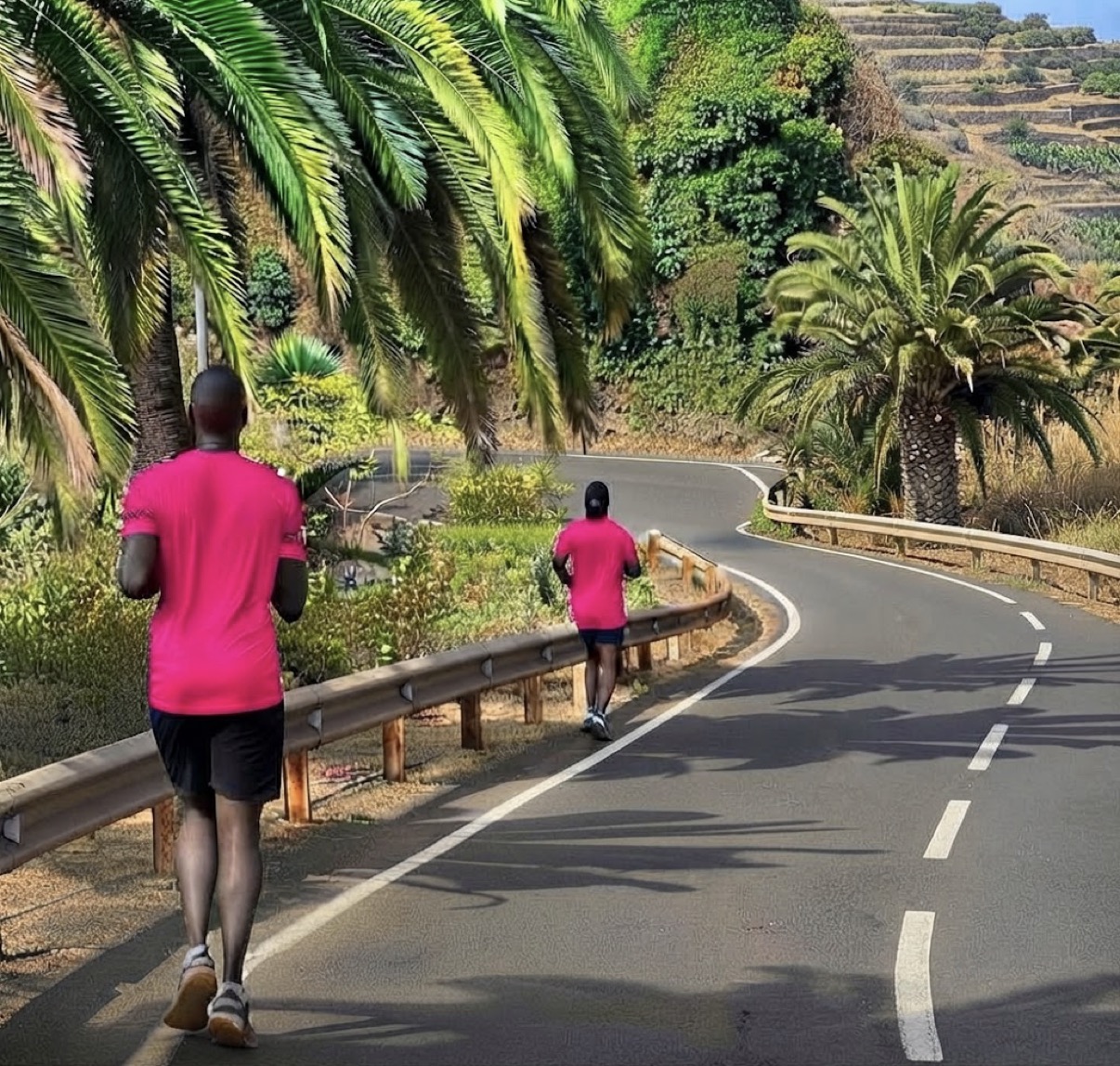 Running road through palm trees