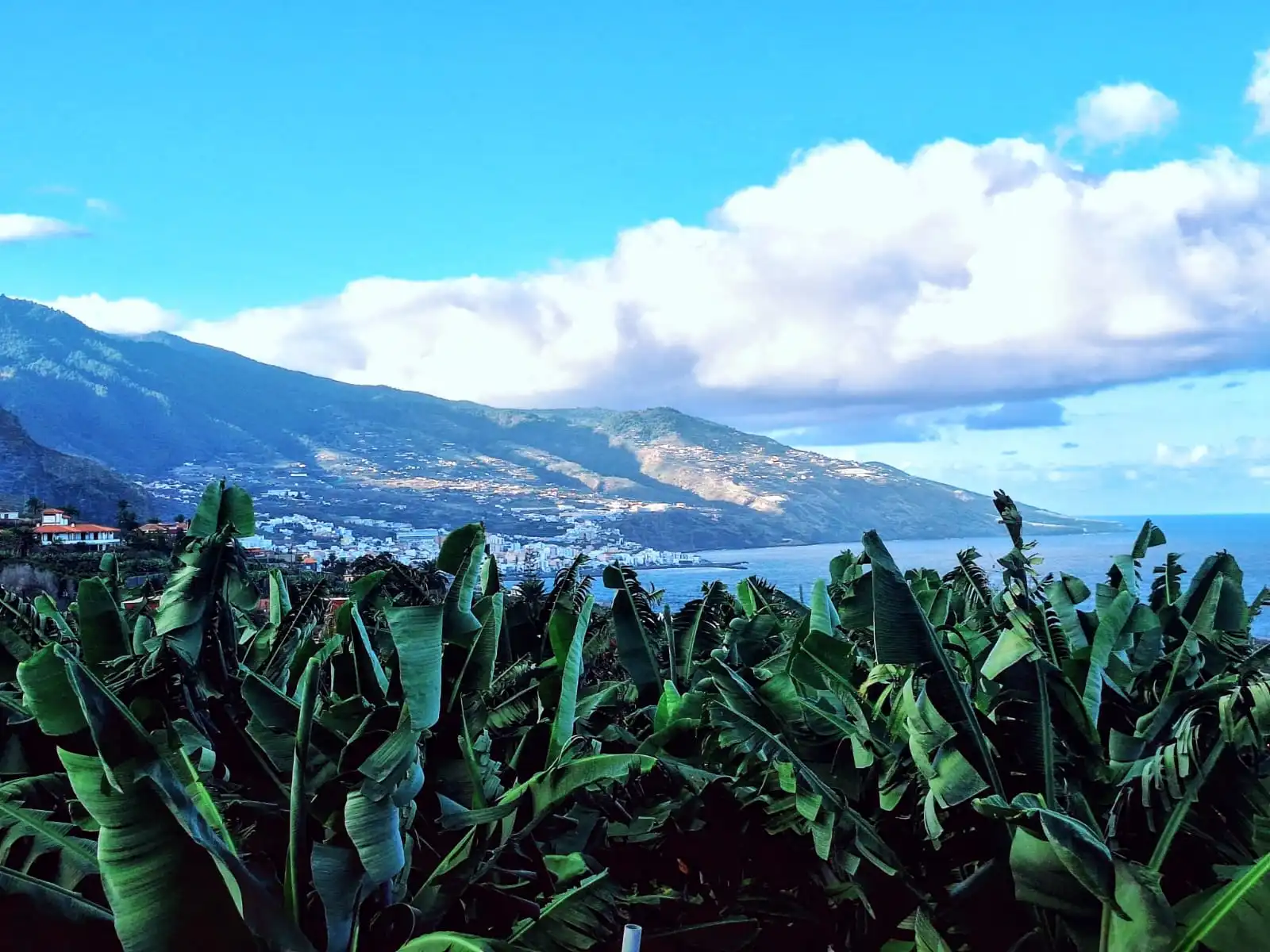 La Palma camp location