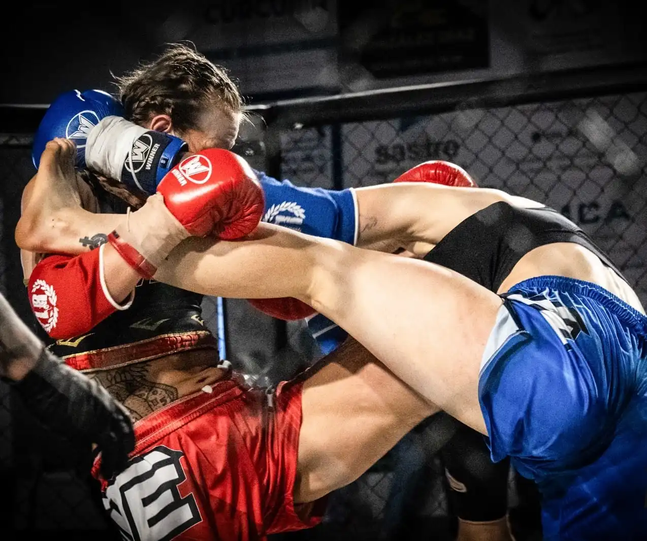 Clinch & techniques training