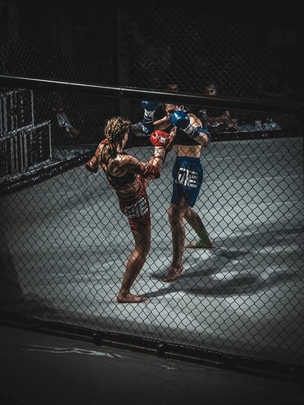 Real Challenge - fighters in action