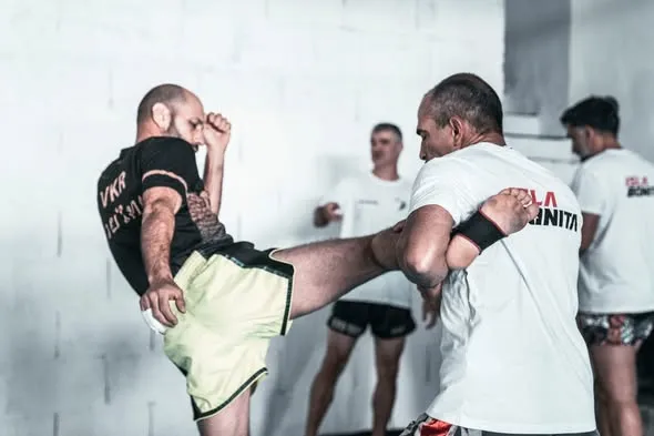 Roundhouse kicks training